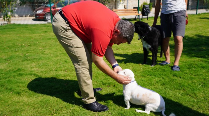 Çeşme'ye 5 Pati Park daha!