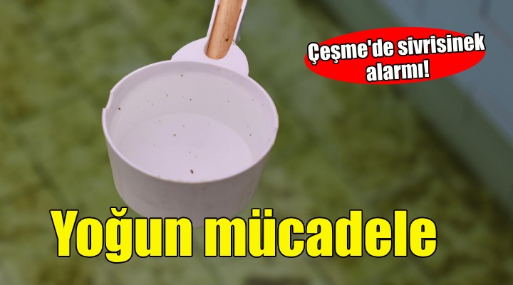 Çeşme'de Sivrisinek ile yoğun mücadele