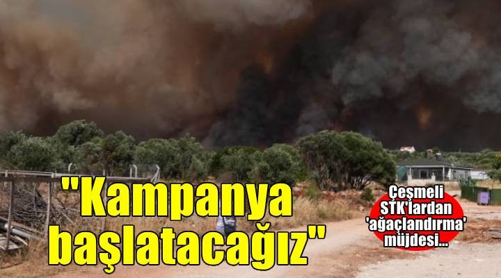 Çeşmeli STK'lardan 'ağaçlandırma' müjdesi... ''Kampanya başlatacağız''