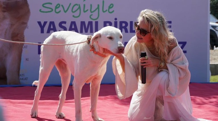 Çeşmeliler Pati Park'ta can dostlarla buluştu!