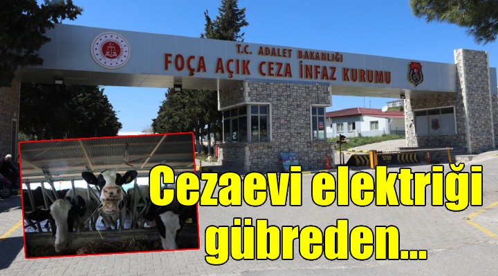 Cezaevi elektriği gübreden!