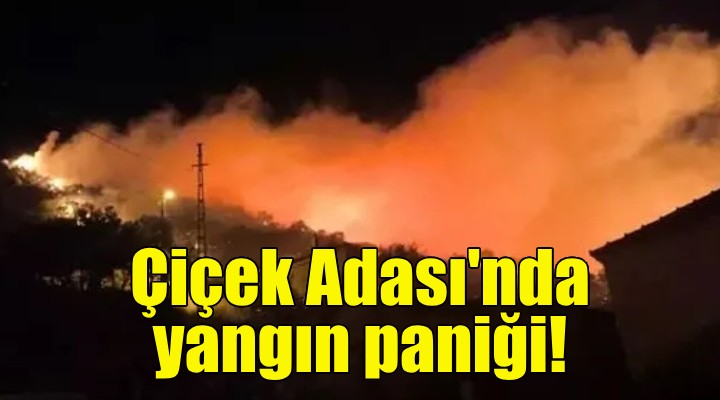 Çiçek Adası'nda yangın paniği!