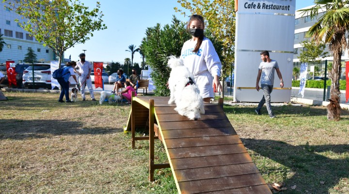 Çiğli'de Pati Dostları Festivali coşkusu!