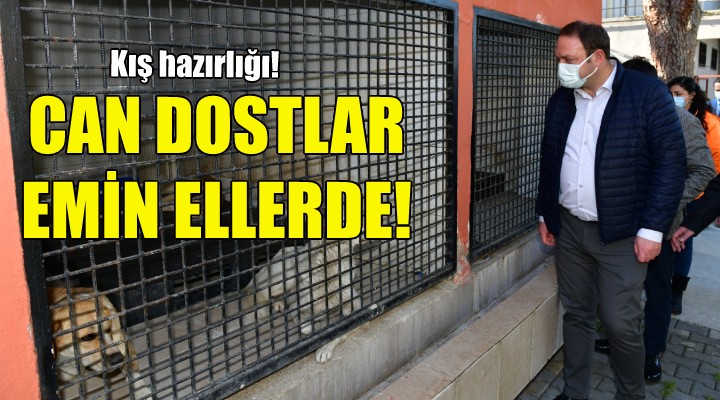 Çiğli'de can dostlar emin ellerde!