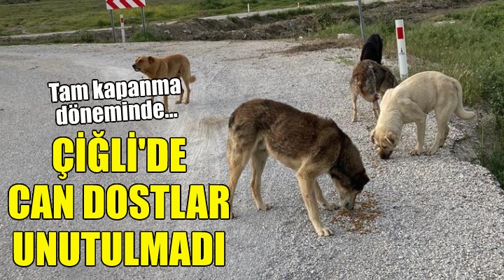 Çiğli'de can dostlar unutulmadı!