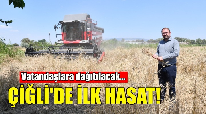 Çiğli'de ilk hasat!