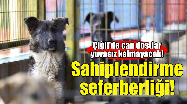 Çiğli'de sahiplendirme seferberliği!