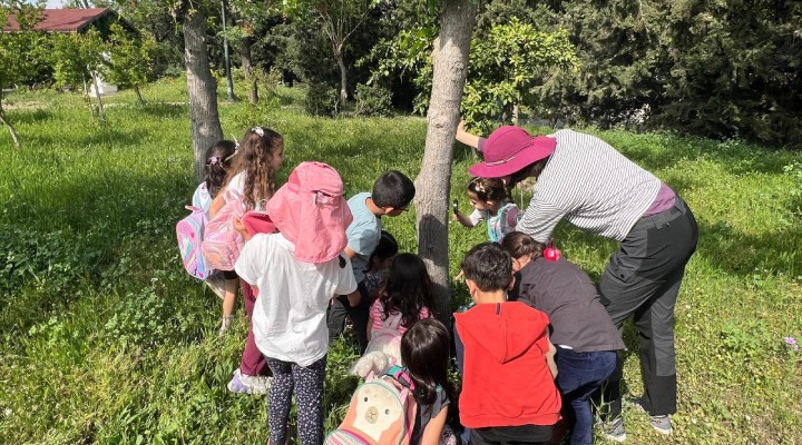 Çocuklar, ormanda keşif ve masal yolculuğunda buluşuyor