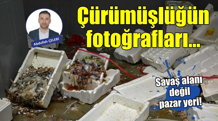 Çürümüşlüğün fotoğrafları...