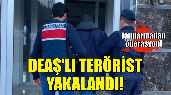 DEAŞ'lı terörist İzmir'de yakalandı!