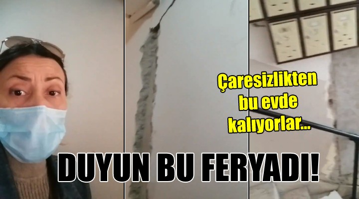 DUYUN BU FERYADI! Göz göre göre ölüme yatıyorlar...