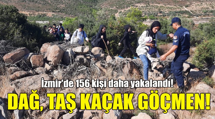 Dağ, taş kaçak göçmen... İzmir'de 156 kişi daha yakalandı!
