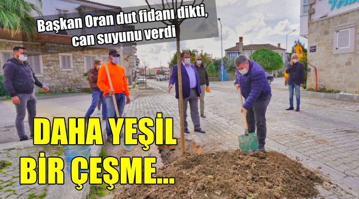 Daha yeşil bir Çeşme...