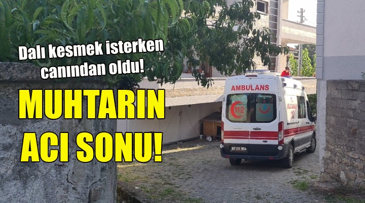 Dalı kesmek isterken canından oldu!