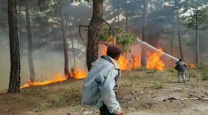 Denizli'deki orman yangını 3 saatte söndürüldü!