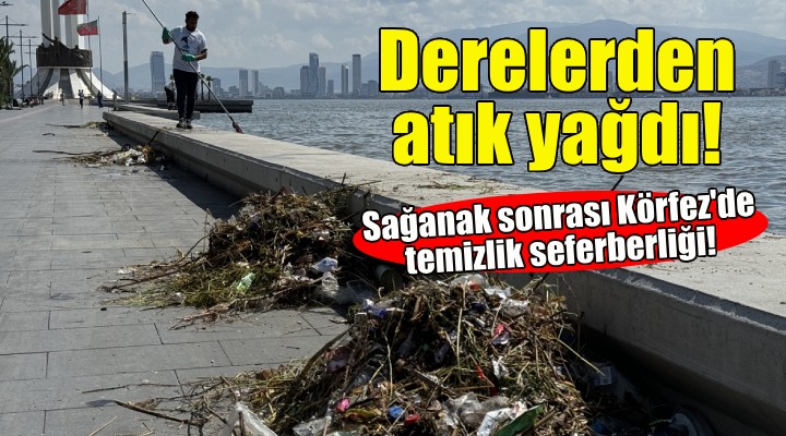 Derelerden atık yağdı... Körfez'de temizlik seferberliği!