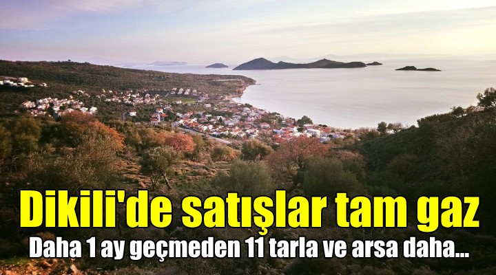 Dikili'de satışlar tam gaz!