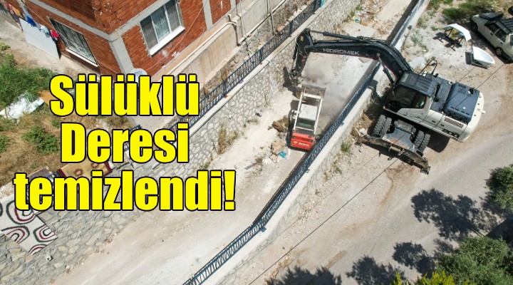 Dikili'deki Sülüklü Deresi temizlendi!