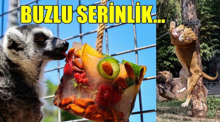 Doğal Yaşam Parkı'nda buzlu serinlik