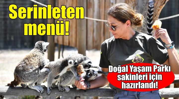 Doğal Yaşam Parkı sakinlerini serinleten menü!