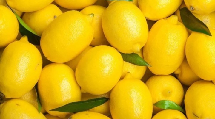 Dubai'ye gönderilen tonlarca limon kapıdan döndü