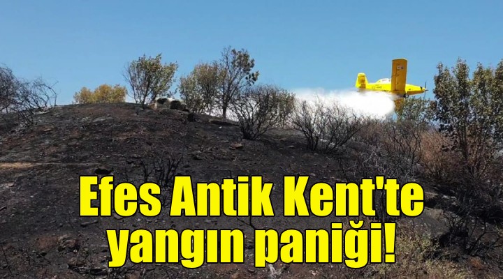 Efes Antik Kent'te yangın paniği!