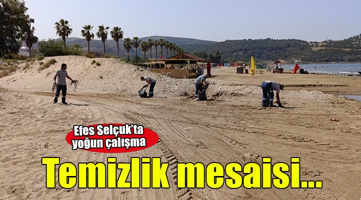 Efes Selçuk'ta temizlik mesaisi...
