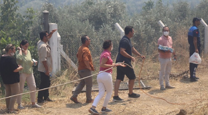 Efes Selçuk'taki yangın hızlı müdahale ile kontrol altında
