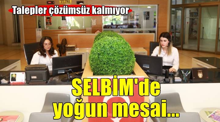 Efes Selçuk'ta talepler cevapsız kalmıyor: SELBİM'den hızlı ve etkili çözüm