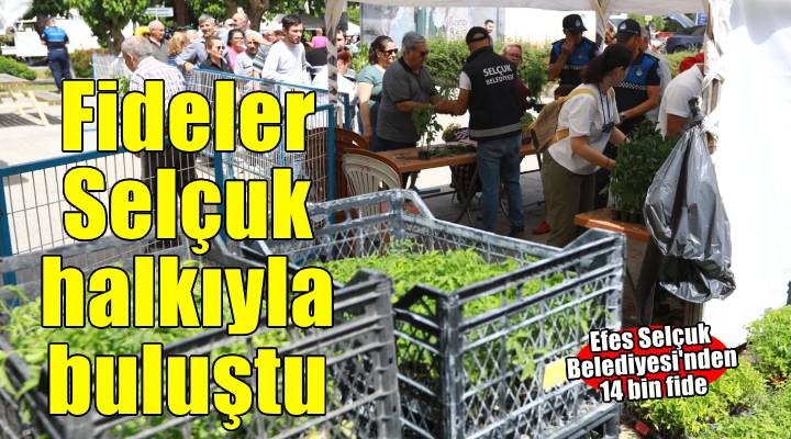 Efes Tarlası Yaşam Köyü'nün yerel tohumlardan üretilen fideleri Efes Selçuk halkıyla buluştu