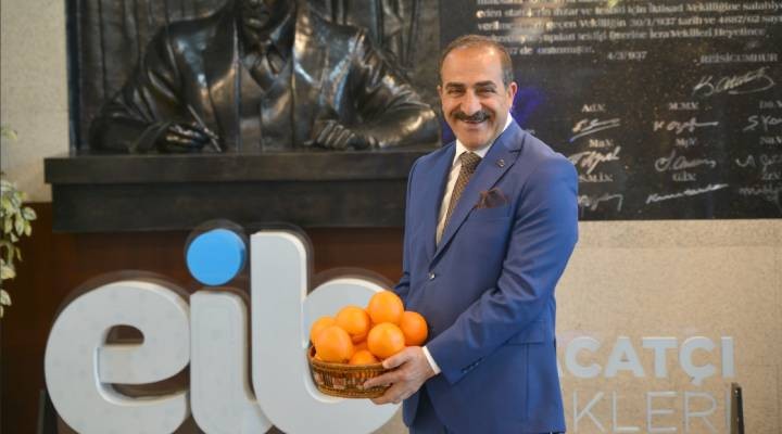 Ege Bölgesi Narenciye Rekoltesi 449 bin ton