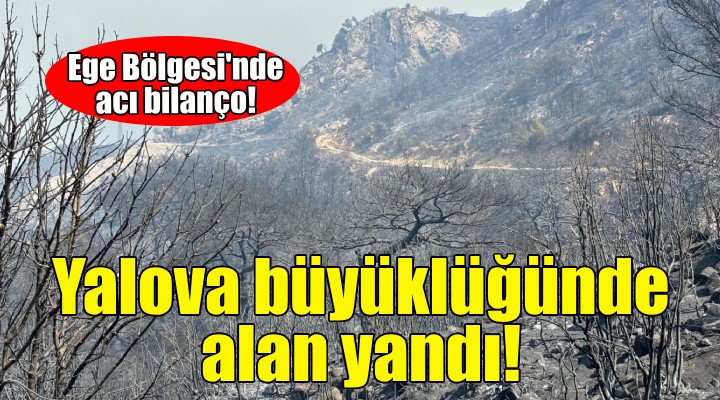 Ege Bölgesi'nde Yalova büyüklüğünde alan yandı!