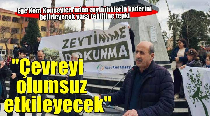 Ege Kent Konseyleri'nden zeytinliklerin kaderini belirleyecek yasa teklifine tepki