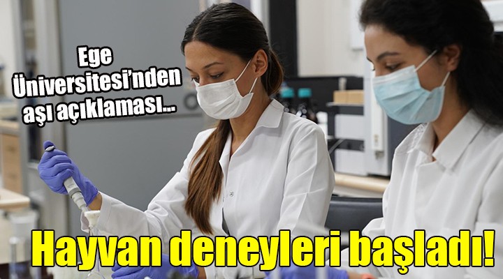 Ege Üniversitesi'nden aşı açıklaması... HAYVAN DENEYİ BAŞLADI