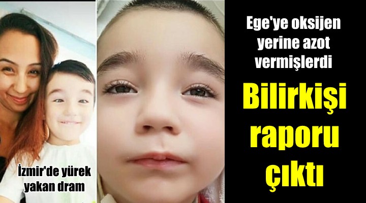 Ege'ye oksijen yerine azot verilmesiyle ilgili bilirkişi raporu çıktı