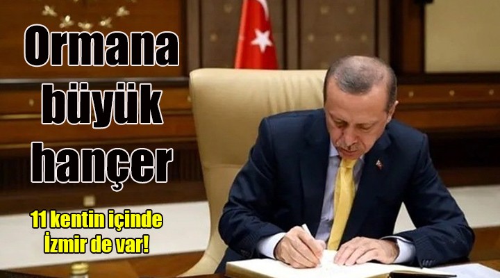 Erdoğan imzaladı: 11 şehirde bazı alanlar 'orman sınırı' dışına çıkarıldı