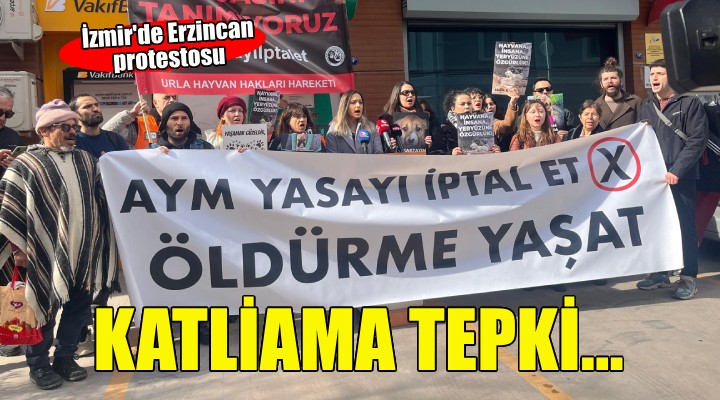 Erzincan'daki köpek katliamı İzmir'de protesto edildi!