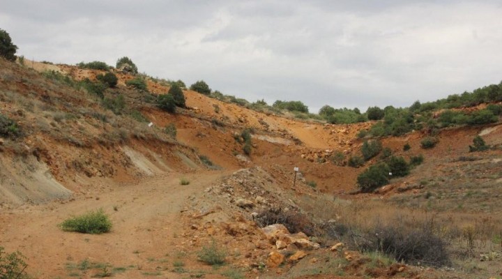 Eskişehir'de 200 bin ağaç tehlikede