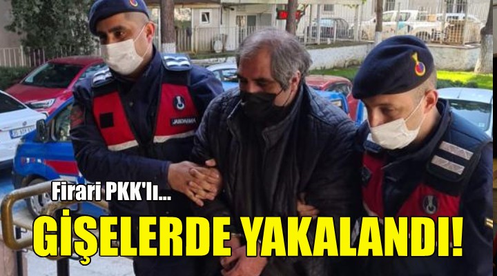 Firari PKK'lı otoyol gişesinde yakalandı!