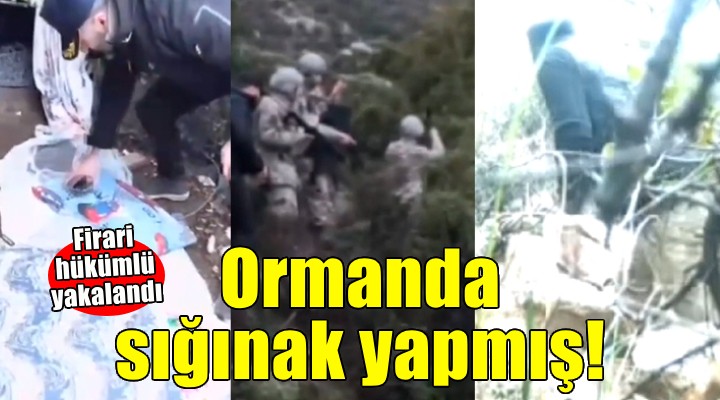 Firari hükümlü ormandaki sığınağında yakalandı!