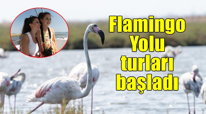 Flamingo Yolu turları başladı