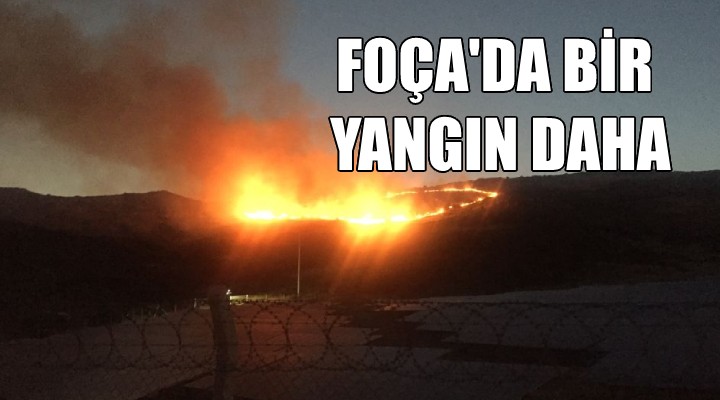 Foça'da bir yangın daha