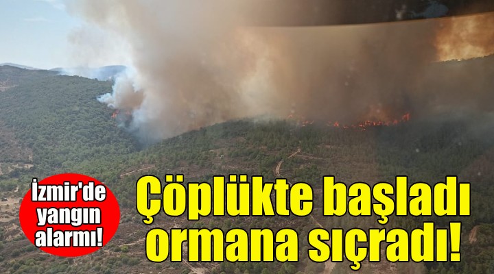 Foça'da çöplükte başlayan yangın ormana sıçradı!