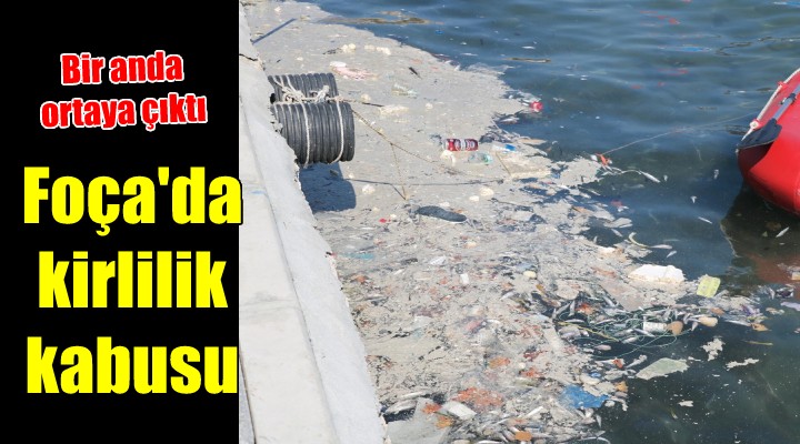 Foça'da deniz kirliliği kabusu