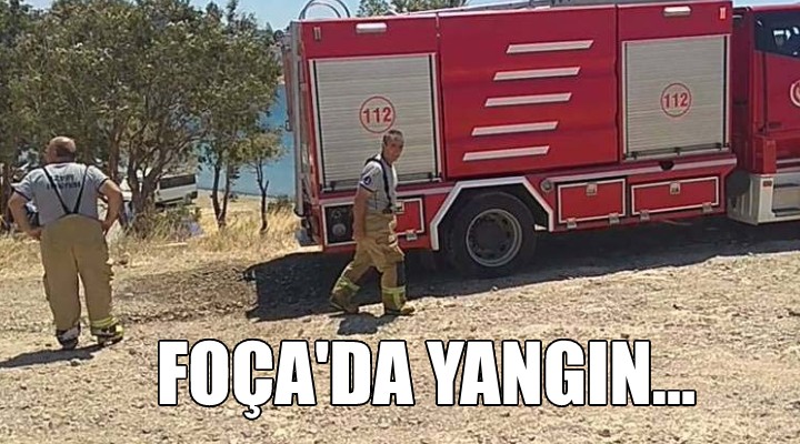 Foça'da iki ayrı yerde yangın