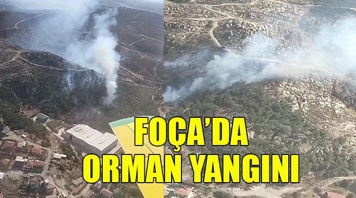 Foça'da orman yangını...