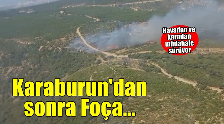 Foça'da orman yangını...