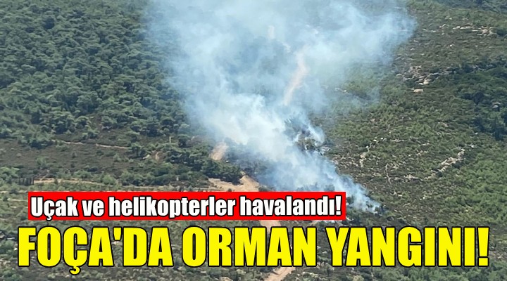 Foça'da orman yangını... Uçak ve helikopterler havalandı!