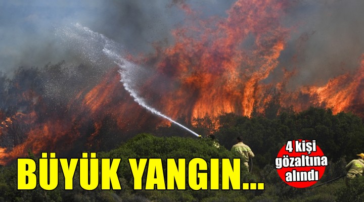 Foça'da yangın evlere sıçradı... 4 kişiye gözaltı!