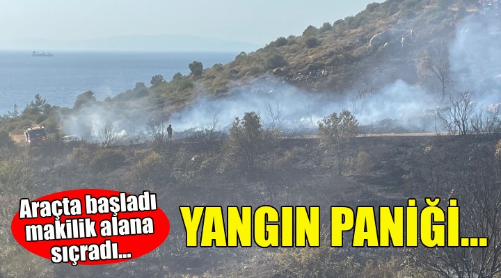 Foça'da yangın paniği!